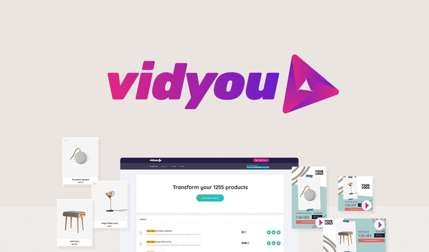 vidyou image